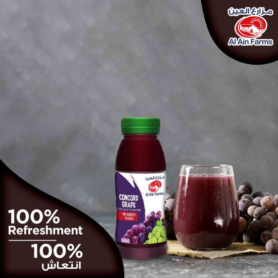 Picture of Al Ain Concord Grape Nectar 200ml(N)