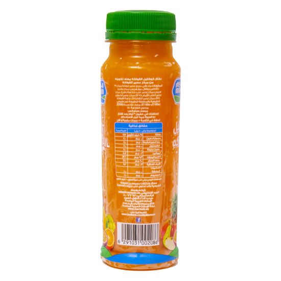 Picture of Marmum Fruit Cocktail Juice 200ml(N)