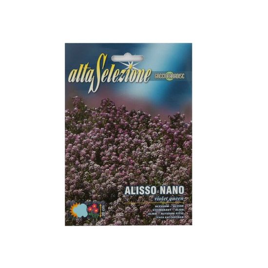 Picture of Alta Seeds Alyssum AFS 301/3