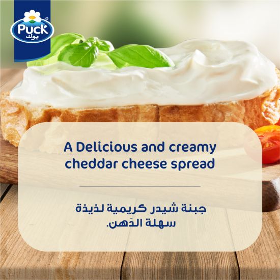 Picture of Puck Cheddar Cream Cheese Spread Jar 500g