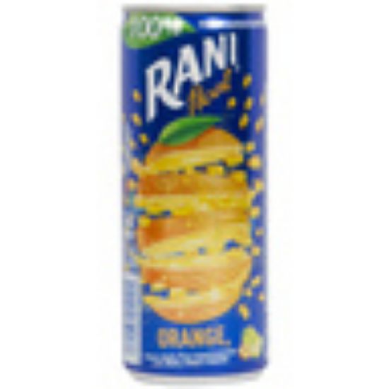 Picture of Rani Float Orange Fruit Drink 240ml(N)