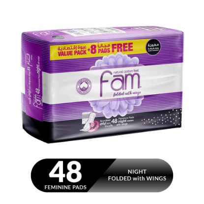 Picture of Fam Night Sanitary Pads Folded With Wings 48pcs