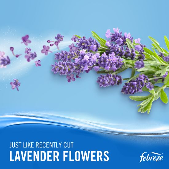 Picture of Febreze Air Freshener Lavender 300ml