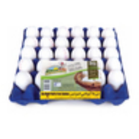 Picture of Abu Dhabi White Eggs Large 30pcs(N)