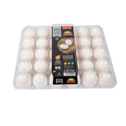 Picture of Ova White Eggs Large 30pcs(N)