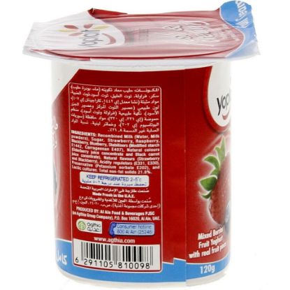 Picture of Yoplait Mixed Berries Fruit Yoghurt Full Cream 120g(N)