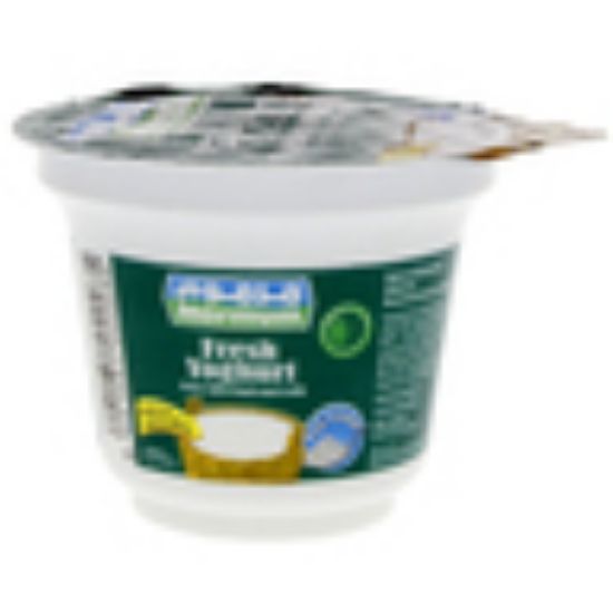 Picture of Marmum Fresh Yoghurt Full Cream 170g(N)