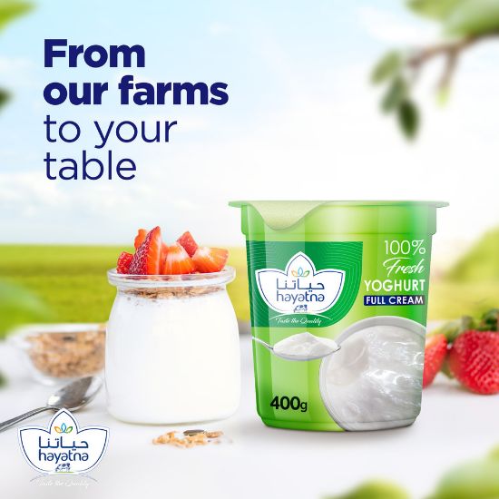 Picture of Hayatna Full Cream Yoghurt 400 g(N)