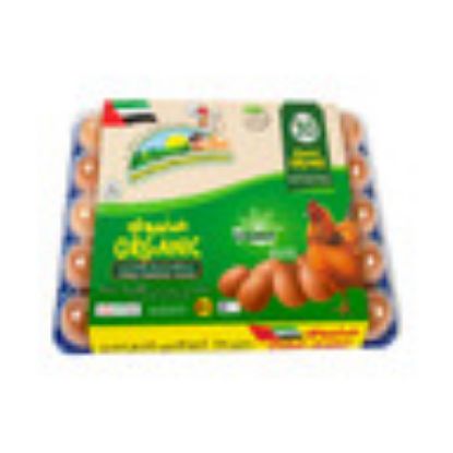 Picture of Abu Dhabi Poultry Farm Organic Free Range Brown Eggs 30 pcs(N)