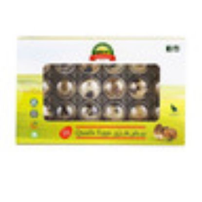 Picture of Al Bustan Quail Eggs 18pcs(N)