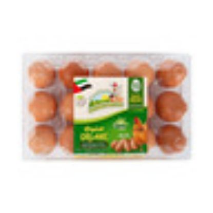 Picture of Abu Dhabi Poultry Farm Organic Free Range Brown Eggs 15 pcs(N)