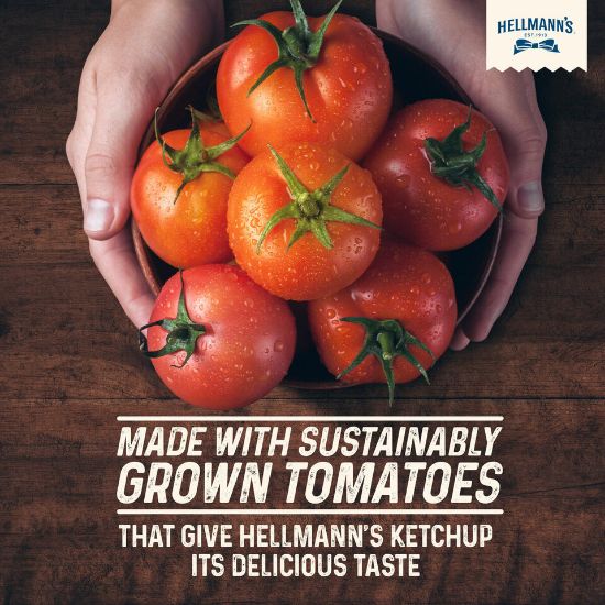 Picture of Hellmann's Tomato Ketchup 480g