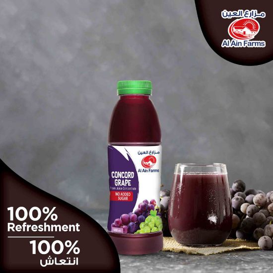 Picture of Al Ain Concord Grape Nectar 500ml(N)