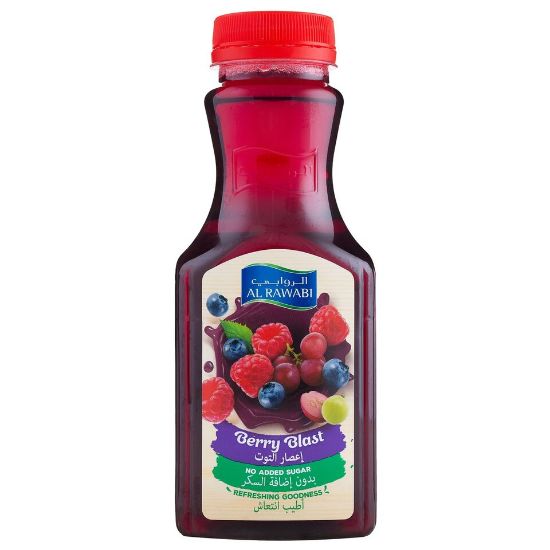 Picture of Al Rawabi Berry Blast Juice No Added Sugar 350ml(N)