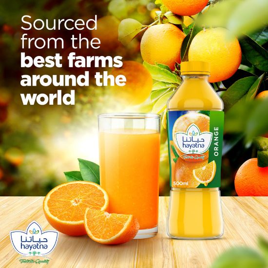 Picture of Hayatna No Added Sugar 100% Pure Orange Juice 500 ml(N)