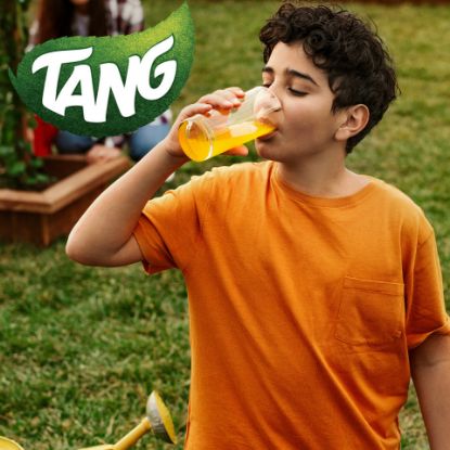 Picture of Tang Lemon Mint Instant Powdered Drink 375 g