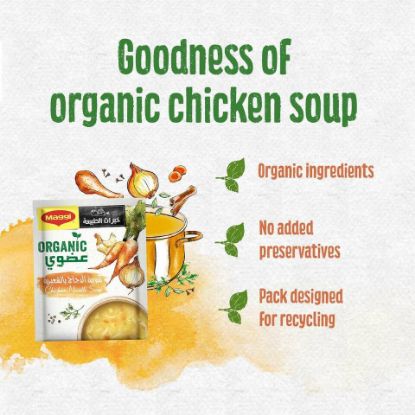 Picture of Maggi Organic Chicken Noodle Soup 55g(N)