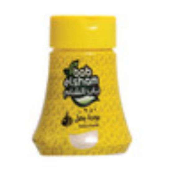 Picture of Bab Elsham Onion Powder 250g(N)