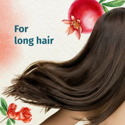 Picture of Herbal Essences Beautiful Ends Split End Protection Shampoo with Juicy Pomegranate Essences 700ml