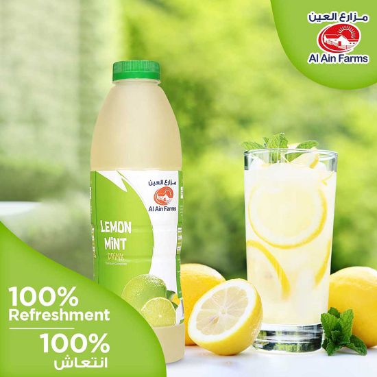 Picture of Al Ain Lemon Mint Juice 1Litre(N)