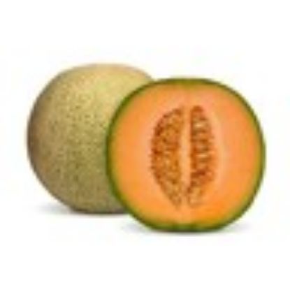 Picture of Rock Melon 1 pc(N)