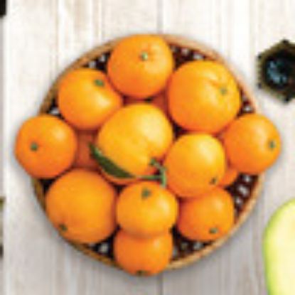 Picture of Mandarin Ortanique Spain 1kg(N)