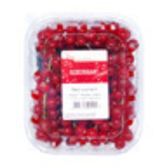 Picture of Red Currant Holland 1pkt(N)