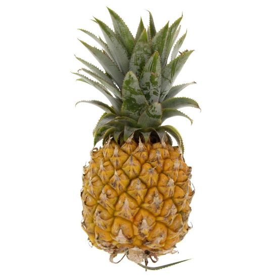 Picture of Baby Pineapple South Africa 1pc(N)