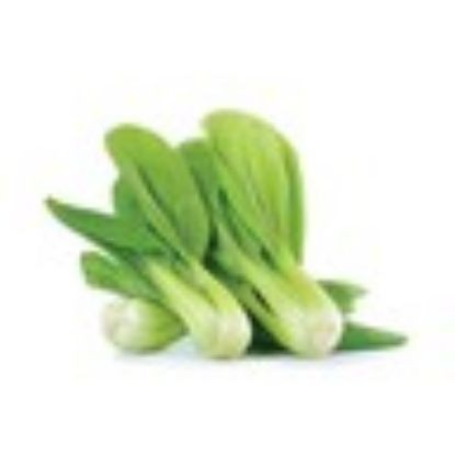 Picture of Paksoy Leaves 1 Bunch(N)