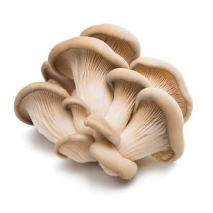 Picture of Oyster Mushroom UAE 100g(N)