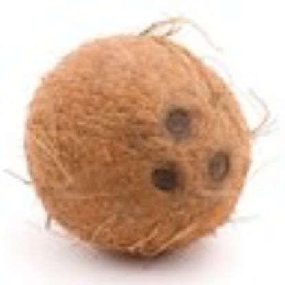 Picture of Coconut Whole India 1 pc(N)