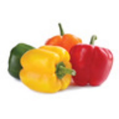 Picture of Capsicum Mix Tray UAE 1pkt(N)