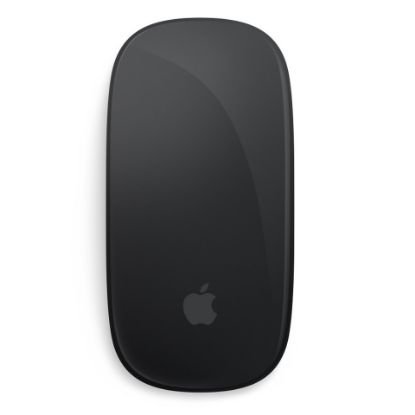 Picture of Magic Mouse - Black Multi-Touch Surface MMMQ3ZE/A