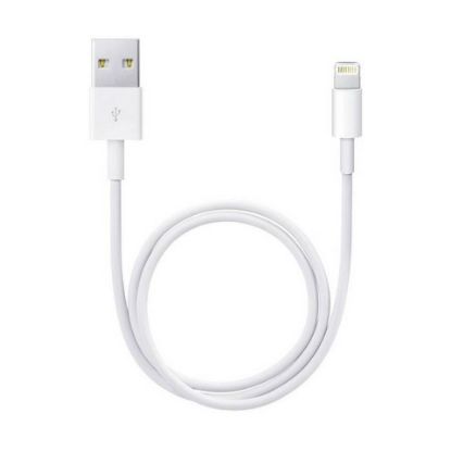 Picture of Apple Lightning To USB Cable ME291Z 0.5M