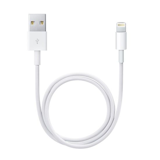 Picture of Apple Lightning to USB Cable MD819Z