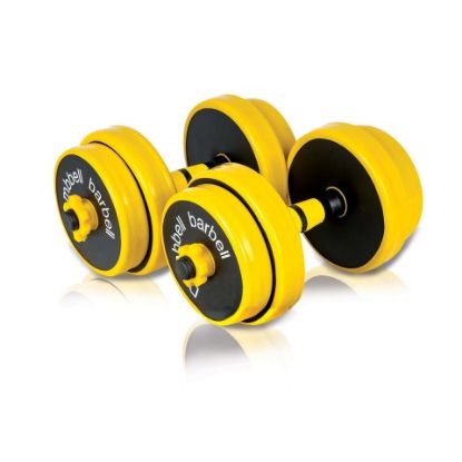 Picture of Sports Champion Color Dumbbell RDYL 20kg