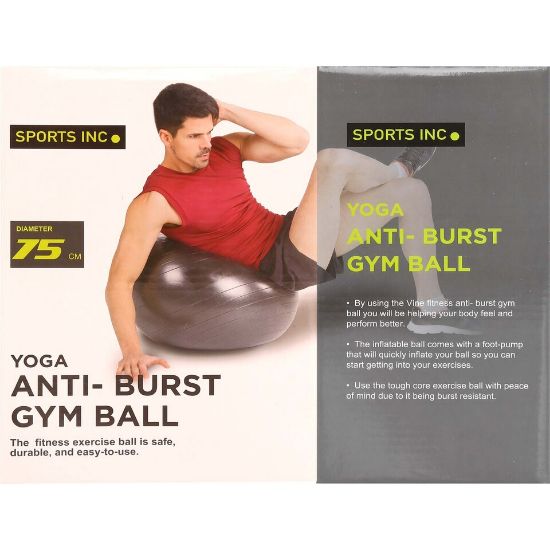 Picture of Sports INC Gym Ball VF97403 75cm