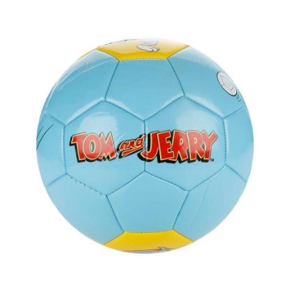 Picture of Tom & Jerry Character Football Assorted Color & Design 5"