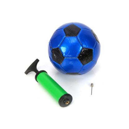 Picture of Sports INC Mini Ball With Pump Set TZ-266