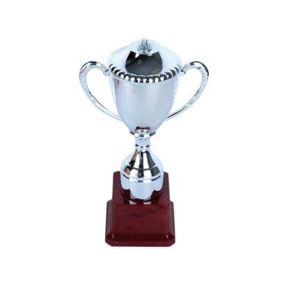 Picture of Sports Champion Trophy FB-2037B