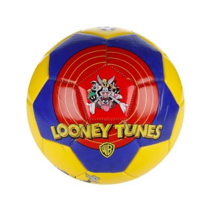 Picture of Looney Tunes Character Football Assorted Color & Design 5"