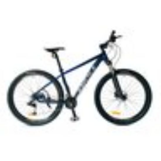 Picture of Diou Bicycle 29" DO-21-M06 Assorted Color & Design