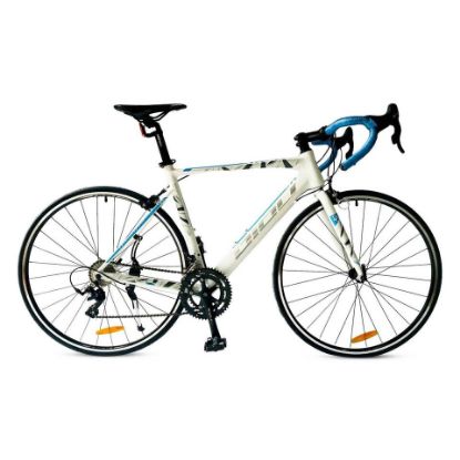 Picture of Diou Bicycle 700C DO-21-R02 Assorted Color & Design