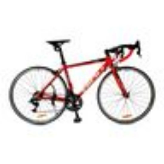 Picture of Diou Bicycle 700C DO-21-R01 Assorted Color & Design