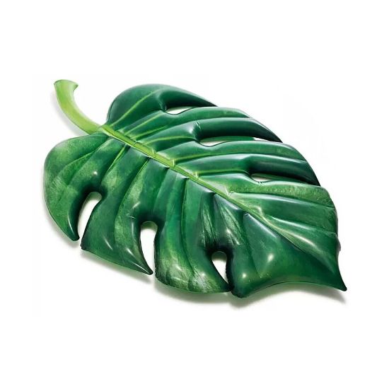 Picture of Intex Palm Leaf Pool Float 58782