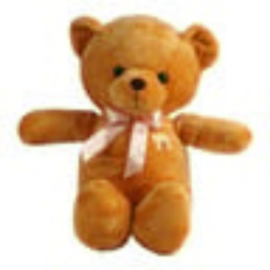 Picture of Fabiola Soft Bear 50cm AK065 Assorted