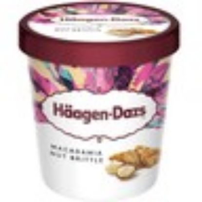 Picture of Haagen-Dazs Ice Cream Macadamia Nut Brittle 460ml