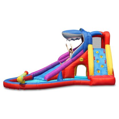 Picture of Happyhop Shark Club Slide 9417