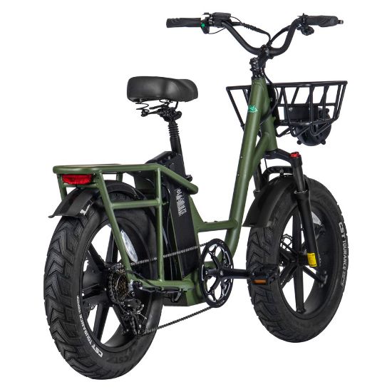 Picture of Fiido T1 Electric Bike Cargo, Green