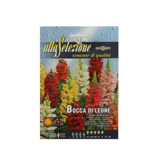 Picture of Alta Dwarf Snapdragon Mixed Seeds